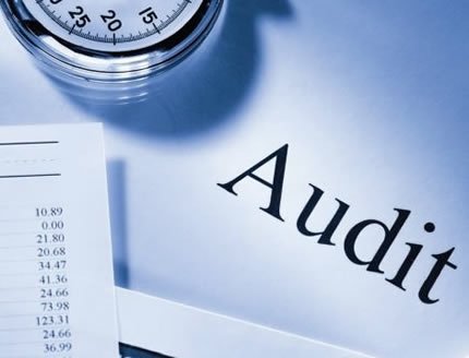 Statutory audit services